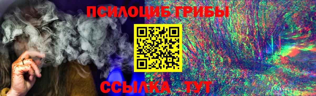 Псилоцибиновые грибы мицелий Тамбов
