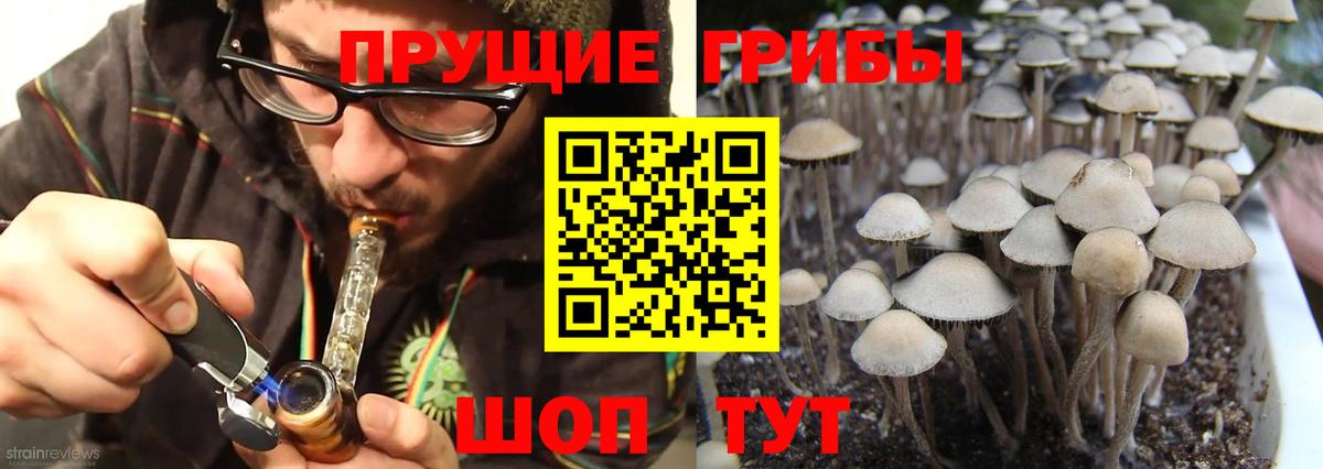 Галлюциногенные грибы MAGIC MUSHROOMS  Псилоцибиновые грибы ЛСД  Вход с VPN  Тамбов 